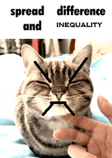 a cat with a face drawn on it and the words spread difference and inequality below it