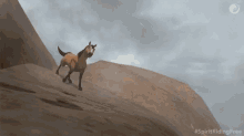 Oops Accident GIF - Oops Accident Slide GIFs