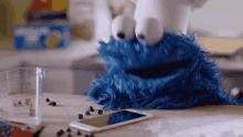 Hey Siri Cookie GIF - Hey Siri Cookie Monster GIFs