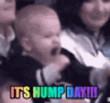 Hump Day Kid GIF - Hump Day Kid Yes GIFs