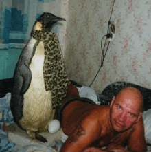 a bald man laying on a bed with a penguin on his back