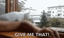 Cat Hands GIF - Cat Hands Give Me That GIFs
