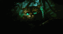 Abell46s Reface GIF - Abell46s Reface Cat GIFs