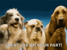 Clapping Awesome GIF - Clapping Awesome GIFs