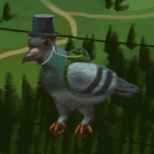 dove vibe pigeon distinguished gentleman distinguished