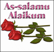a picture of two red roses with the words as-salamu alaikum above them
