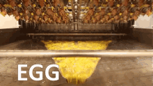 Eggciting Eggs GIF - Eggciting Eggs Eggcellent GIFs