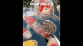Cocopops GIF - Cocopops GIFs