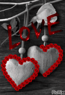 love heart rose flowers in love