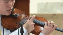 strumming violin playing musician pobelter