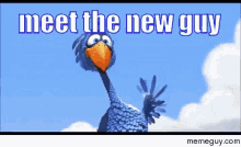 New Guy GIF - New Guy Bird Wave GIFs