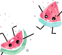 happy smile watermelon cucurbitaceae citrullus lanatus