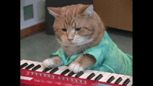 Keyboard Cat GIF - Keyboard Cat GIFs