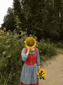 Sunflowers Sunflowergirl GIF - Sunflowers Sunflowergirl GIFs