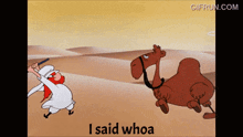 Whoa Camel Looney GIF