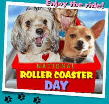 National Roller Coaster Day Happy Roller Coaster Day GIF