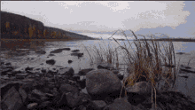 a pixelated image of a lake with rocks and grass in the foreground