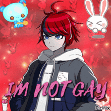 a picture of a boy with the words i 'm not gay in pink letters
