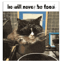 He Will Never Be Food Cat Sticker - He Will Never Be Food Cat Pot Stickers