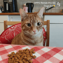 Pépe Cat GIF - Pépe Cat GIFs