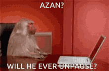 Azan Pauzan GIF - Azan Pauzan Hasan Pause GIFs