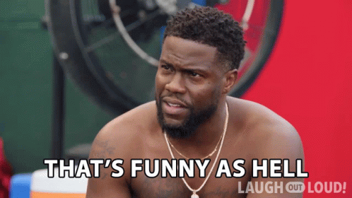 Thats Funny As Hell Kevin Hart GIF - Thats Funny As Hell Kevin Hart Cold As  Balls - Discover & Share GIFs