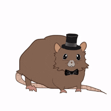 Rat Beebis GIF - Rat Beebis Beebs GIFs