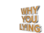 Liar Lying Sticker - Liar Lying Lies Stickers
