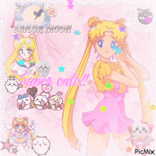 a picture of a girl with the words sailor moon on the bottom