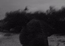a blurry black and white photo of a person walking in a field