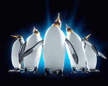 Penguins Squad GIF