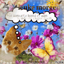 Vec50morgen Zon Cute Cat GIF - Vec50morgen Zon Cute Cat Thinking Of You GIFs