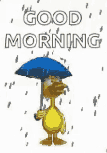 Good Morning Umbrella GIF