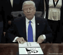 Donald Trump GIF - Donald Trump Trump GIFs