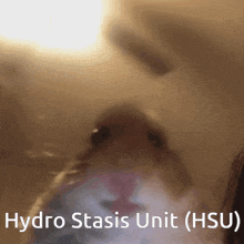 a close up of a hamster with the words hydro stasis unit