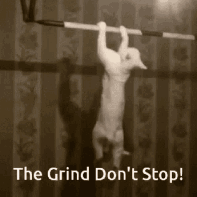 the-grind-dont-stop.gif