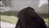 a woman in a black veil is looking up at the sky .