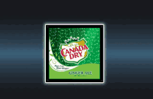 Ginger Ale Canada Dry GIF