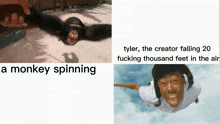 Tyler The Creator GIF - Tyler The Creator Tyler Tyler The GIFs