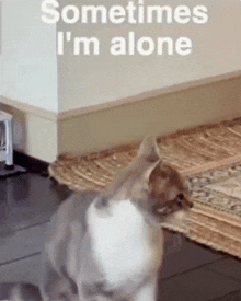 Sometimes Im Alone Lonely Cat GIF
