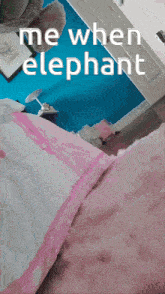 Elep Baby Elephant GIF