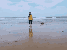 Tramdien At The Beach GIF