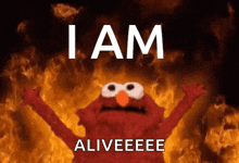 I Am Elmo Fire GIF - I Am Elmo Fire Flames GIFs