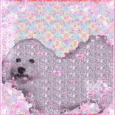 a dog is surrounded by pink hearts and sparkles