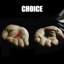 Pick Wisely GIF