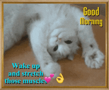 Exercise Wake Up GIF - Exercise Wake Up Stretch Muscles GIFs