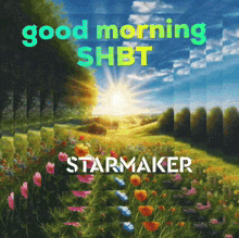 a picture of a field of flowers with the words good morning shbt starmaker on it