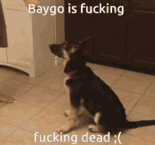 Baygo GIF - Baygo GIFs