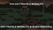 Moralito Bubuit GIF - Moralito Bubuit GIFs