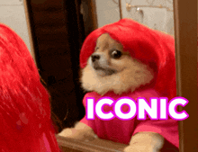 Iconic Dog GIF - Iconic Icon Dog GIFs
